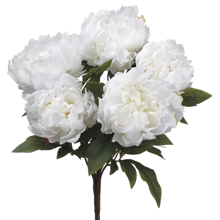 18" Silk Peony Flower Bush -White (pack of 8) - FBP015-WH