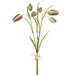 18" Pogonia Japonica Orchid Silk Flower Stem Bundle -Green/Pink (pack of 24) - FBP100-GR/PK