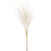 31" Artificial Pampas Grass Stem Bundle -Cream (Pack of 12) - FBP103-CR