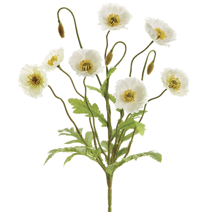 15" Silk Poppy Flower Bush -Cream (pack of 12) - FBP279-CR