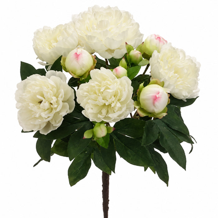 15" Silk Peony Flower Bush -Cream (Pack of 12) - FBP511-CR