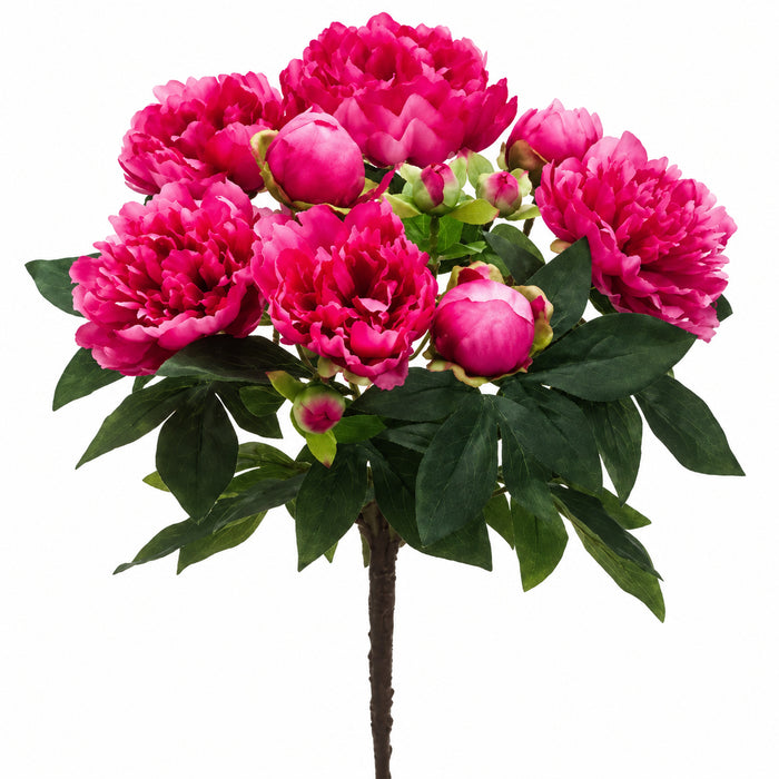 15" Silk Peony Flower Bush -Fuchsia (Pack of 12) - FBP511-FU