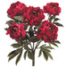 21.5" Silk Peony Flower Bush -Burgundy/Wine (pack of 6) - FBP649-BU/WI