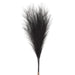 27.5" Artificial Pampas Grass Stem Bundle, Battery LED Pre-Lit -Black (Pack of 12) - FBP776-BK