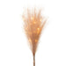 27.5" Artificial Pampas Grass Stem Bundle, Battery LED Pre-Lit -Blush (Pack of 12) - FBP778-BS