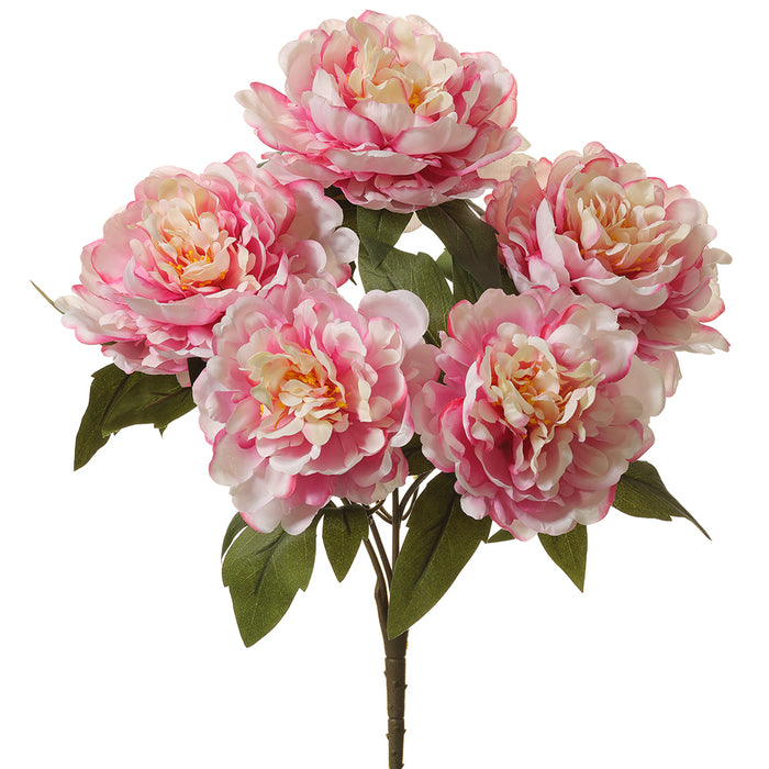 17" Silk Peony Flower Bush -Pink (pack of 12) - FBP791-PK