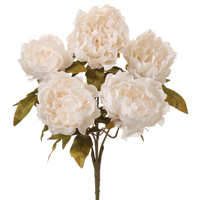 18" Peony Silk Flower Bush -Cream (pack of 8) - FBP794-CR