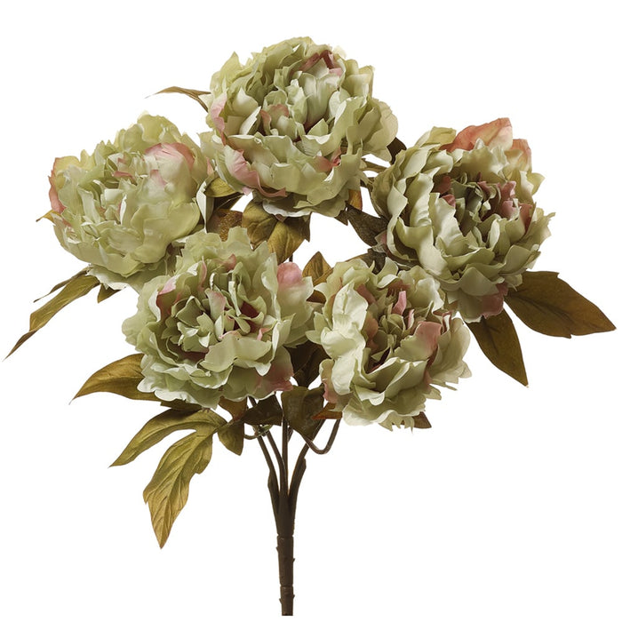 18" Peony Silk Flower Bush -Green (Pack of 8) - FBP794-GR
