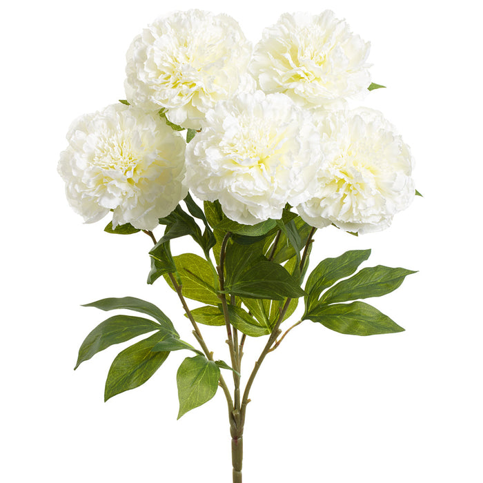 24" Peony Silk Flower Bush -Cream (Pack of 6) - FBP962-CR