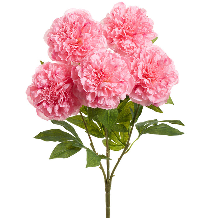 24" Peony Silk Flower Bush -2 Tone Pink (Pack of 6) - FBP962-PK/TT