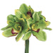 12" Real Touch Cymbidium Orchid Silk Flower Bouquet -Green (pack of 12) - FBQ032-GR