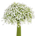12" Gypsophila Baby's Breath Artificial Flower Bouquet -White (pack of 4) - FBQ113-WH