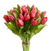 11.75" Tulip Silk Flower Bouquet -Fuchsia (Pack of 2) - FBQ530-FU