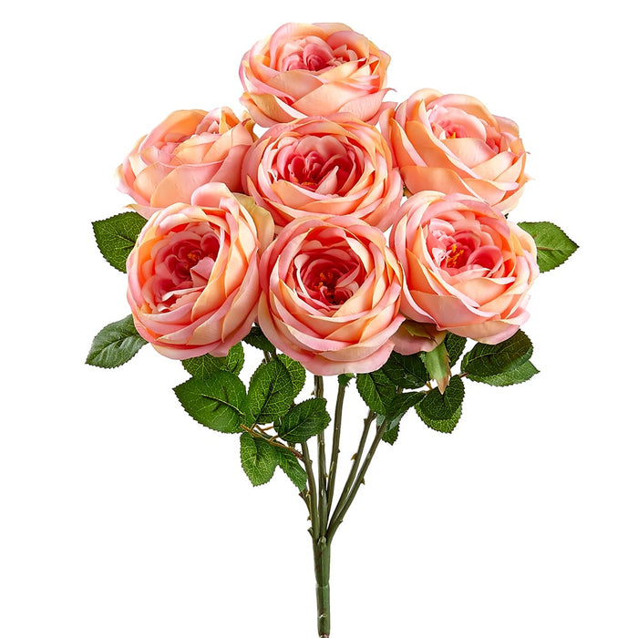 17.5" Silk English Garden Rose Flower Bush -2 Tone Rose (pack of 12) - FBR018-RO/TT