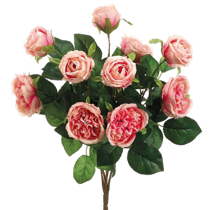 16" Silk Cabbage Rose Flower Bush -2 Tone Pink (pack of 12) - FBR032-PK/TT