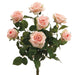 21.5" Silk Confetti Rose Flower Bush -Peach/Cream (pack of 6) - FBR054-PE/CR