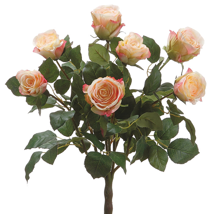 19" Silk Ecuador Rose Flower Bush -Pink/Cream (pack of 6) - FBR333-PK/CR