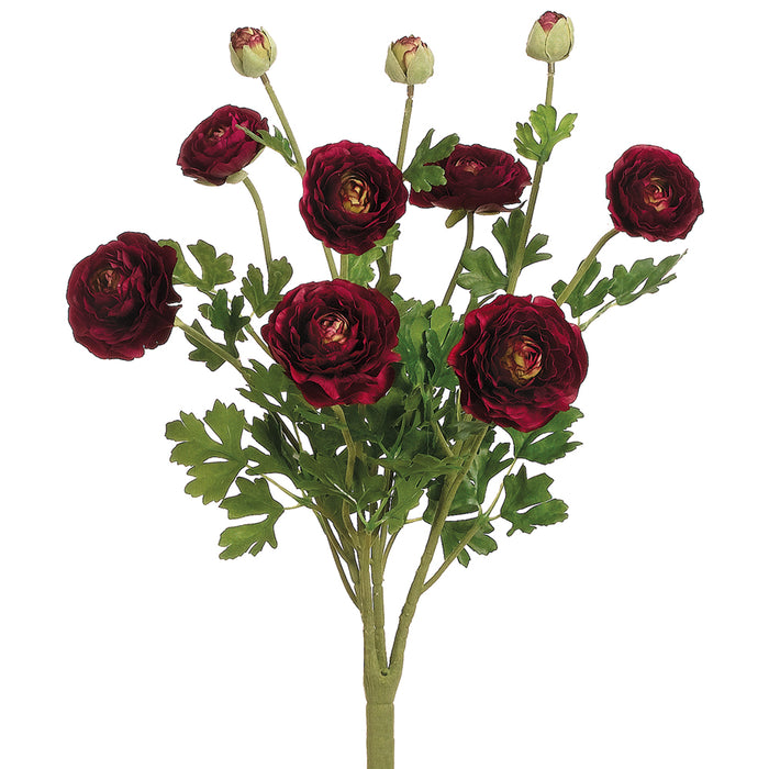 19" Silk Ranunculus Flower Bush -2 Tone Burgundy (pack of 6) - FBR549-BU/TT