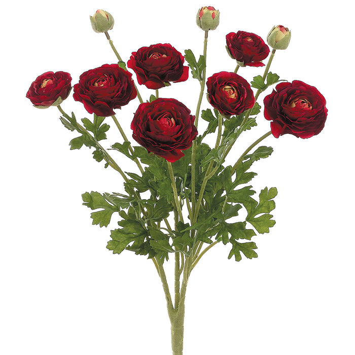 19" Silk Ranunculus Flower Bush -Burgundy (pack of 6) - FBR549-BU