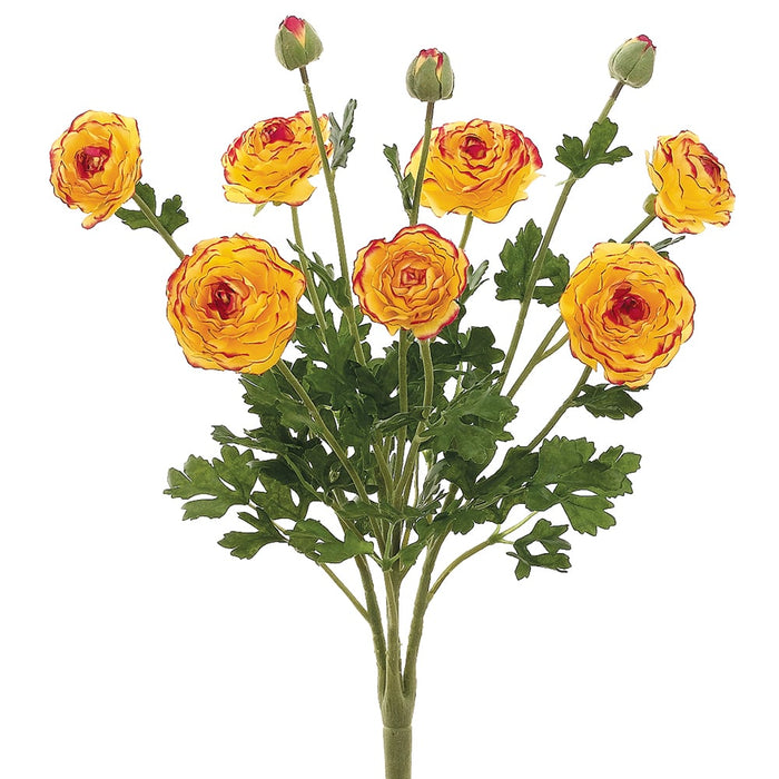 19" Silk Ranunculus Flower Bush -Yellow/Burgundy (pack of 6) - FBR549-YE/BU