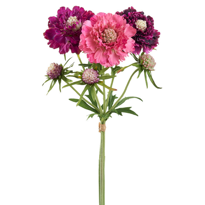 16.75" Scabiosa Silk Flower Stem Bundle -Eggplant/Beauty (pack of 12) - FBS260-EP/BT