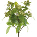 16" PE Soft-Touch Blooming Sedum Artificial Flower Bush -Cream/Green (Pack of 12) - FBS402-CR/GR