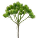 11.5" Thistle Artificial Flower Bush -Green (Pack of 24) - FBT330-GR