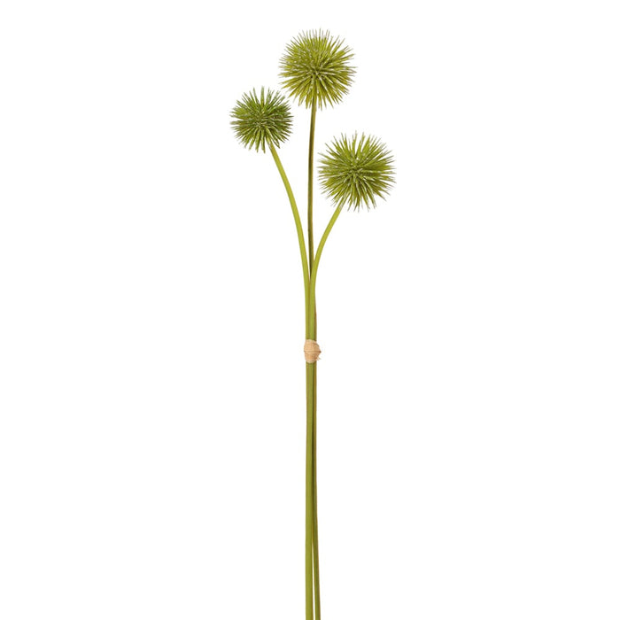 19.5" Artificial Globe Thistle Flower Stem Bundle -Green (pack of 12) - FBT603-GR