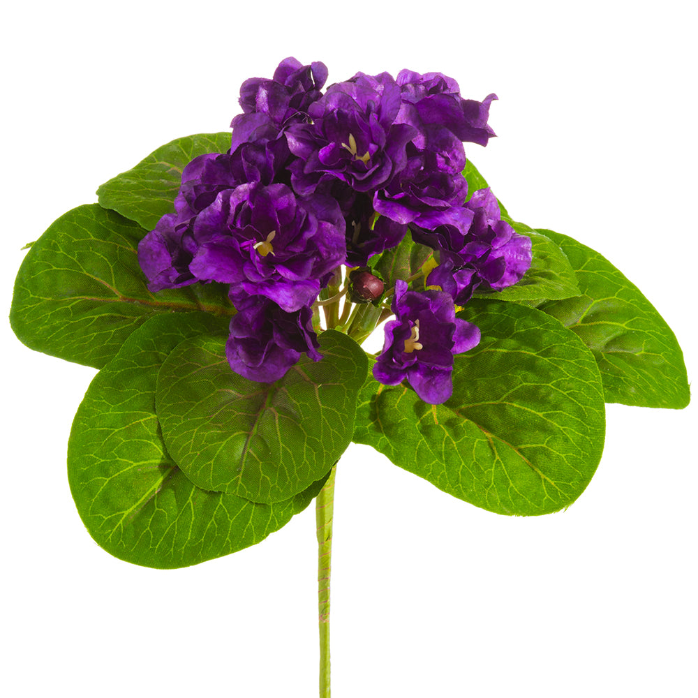 Deals Purple Faux African Violet