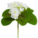 8" Silk African Violet Flower Bush -White (pack of 24) - FBV035-WH