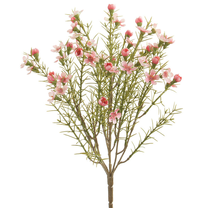 13" Waxflower Silk Flower Bush -Pink/Cerise (Pack of 12) - FBW113-PK/CE