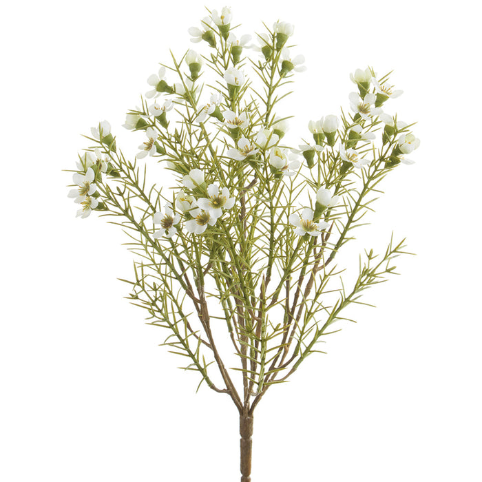 13" Waxflower Silk Flower Bush -White (Pack of 12) - FBW113-WH