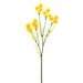 22" Silk Witch Hazel Flower Spray -Yellow/Gold (pack of 12) - FBW542-YE/GO
