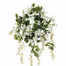31" Silk Wisteria Hanging Flower Bush -Cream/White (Pack of 6) - FBW911-CR/WH