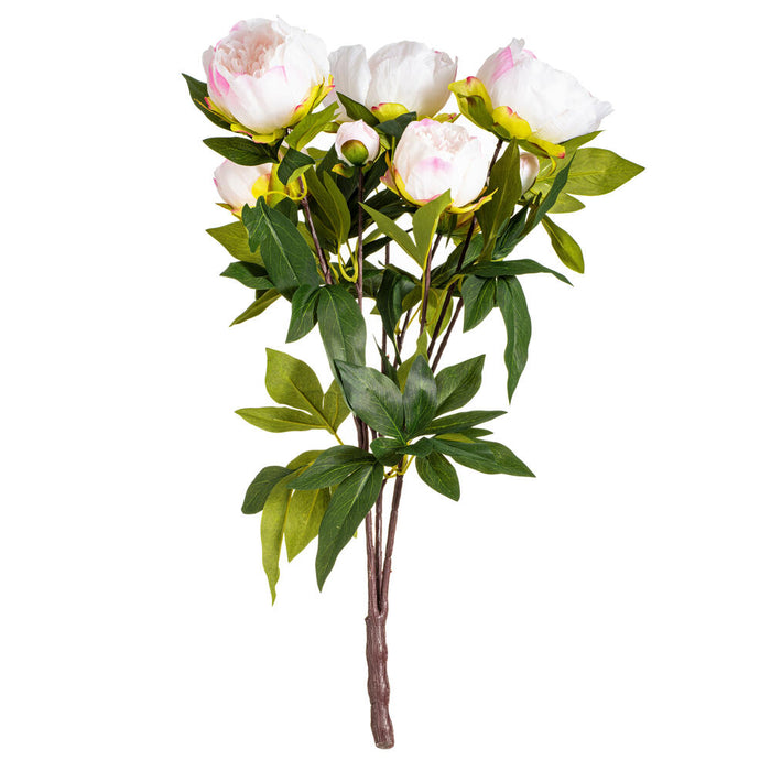 23" Silk Peony Flower Bush -Cream/Pink (Pack of 4) - FD170401