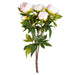 23" Silk Peony Flower Bush -Cream/Pink (Pack of 4) - FD170401
