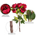 23" Silk Peony Flower Bush -Red (Pack of 4) - FD170402