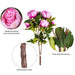 23" Silk Peony Flower Bush -Cerise (Pack of 4) - FD170403