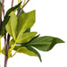 23" Peony Silk Flower Bush -Coffee (Pack of 4) - FD182376