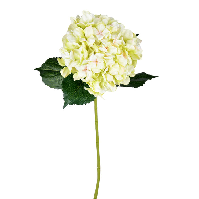 33" Hydrangea Silk Flower Stem -Light Green (Pack of 6) - FD190473