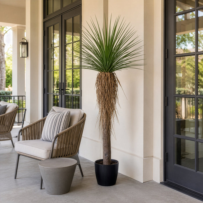 6' Outdoor UV-Resistant Artificial Nolina Ponytail Palm Plant w/Planter -Green - FE250372UV