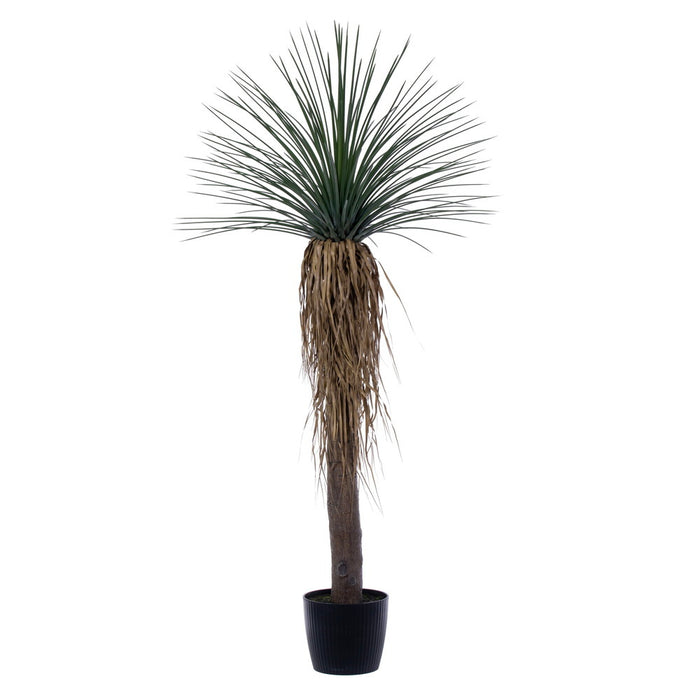 6' Outdoor UV-Resistant Artificial Nolina Ponytail Palm Plant w/Planter -Green - FE250372UV