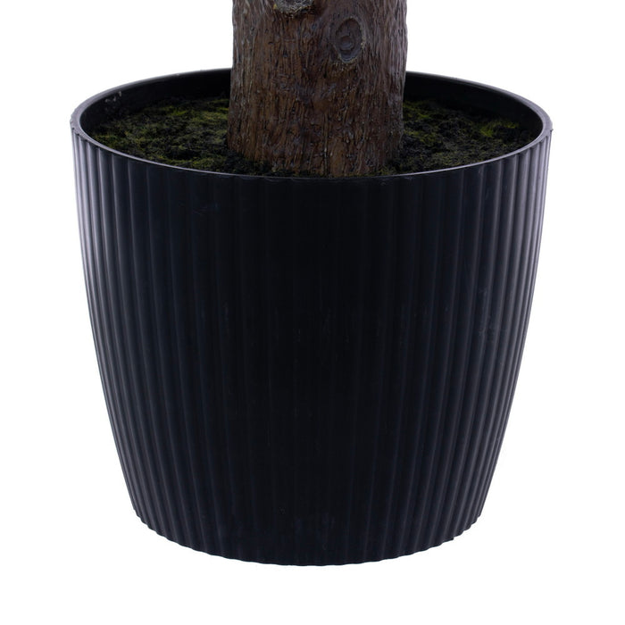 6' Outdoor UV-Resistant Artificial Nolina Ponytail Palm Plant w/Planter -Green - FE250372UV