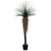 7'2" Outdoor UV-Resistant Artificial Nolina Ponytail Palm Plant w/Planter -Green - FE250386UV