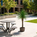 5'2" Outdoor UV-Resistant Artificial Yucca Tree w/Pot -Green - FE251750UV