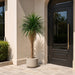 6'6" Outdoor UV-Resistant Artificial Yucca Tree w/Pot -Green - FE251765UV