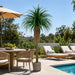 8'6" Outdoor UV-Resistant Artificial Yucca Tree 2/Pot -Green - FE251780UV