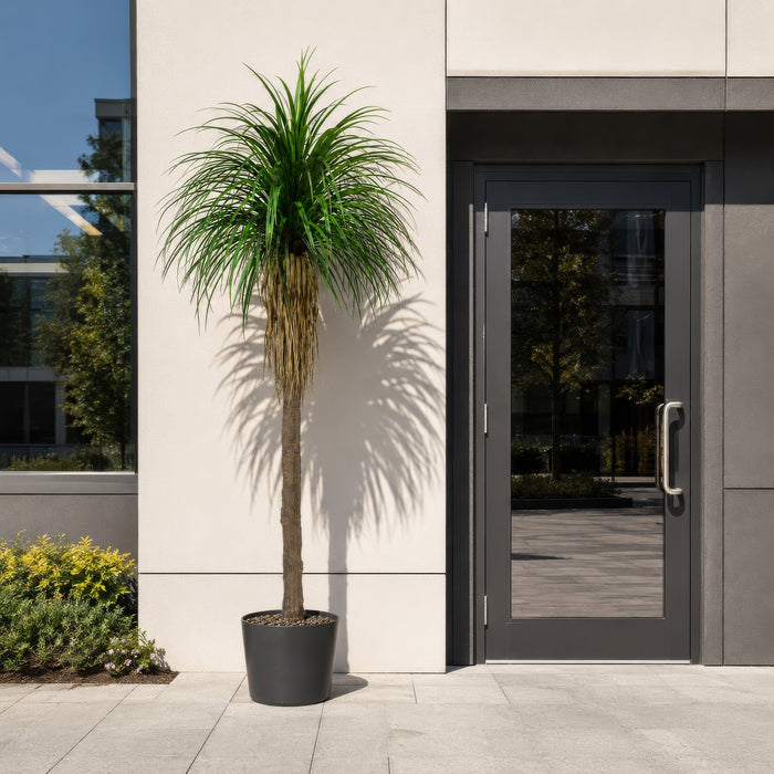 8'6" Outdoor UV-Resistant Artificial Yucca Tree 2/Pot -Green - FE251780UV