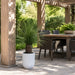 4' Outdoor UV-Resistant Artificial Nolina Ponytail Palm Plant w/White Planter -Green - FE251948UV
