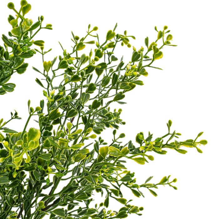 22.5" Outdoor UV-Resistant Artificial Boxwood Plant -Green (Pack of 6) - FF190122